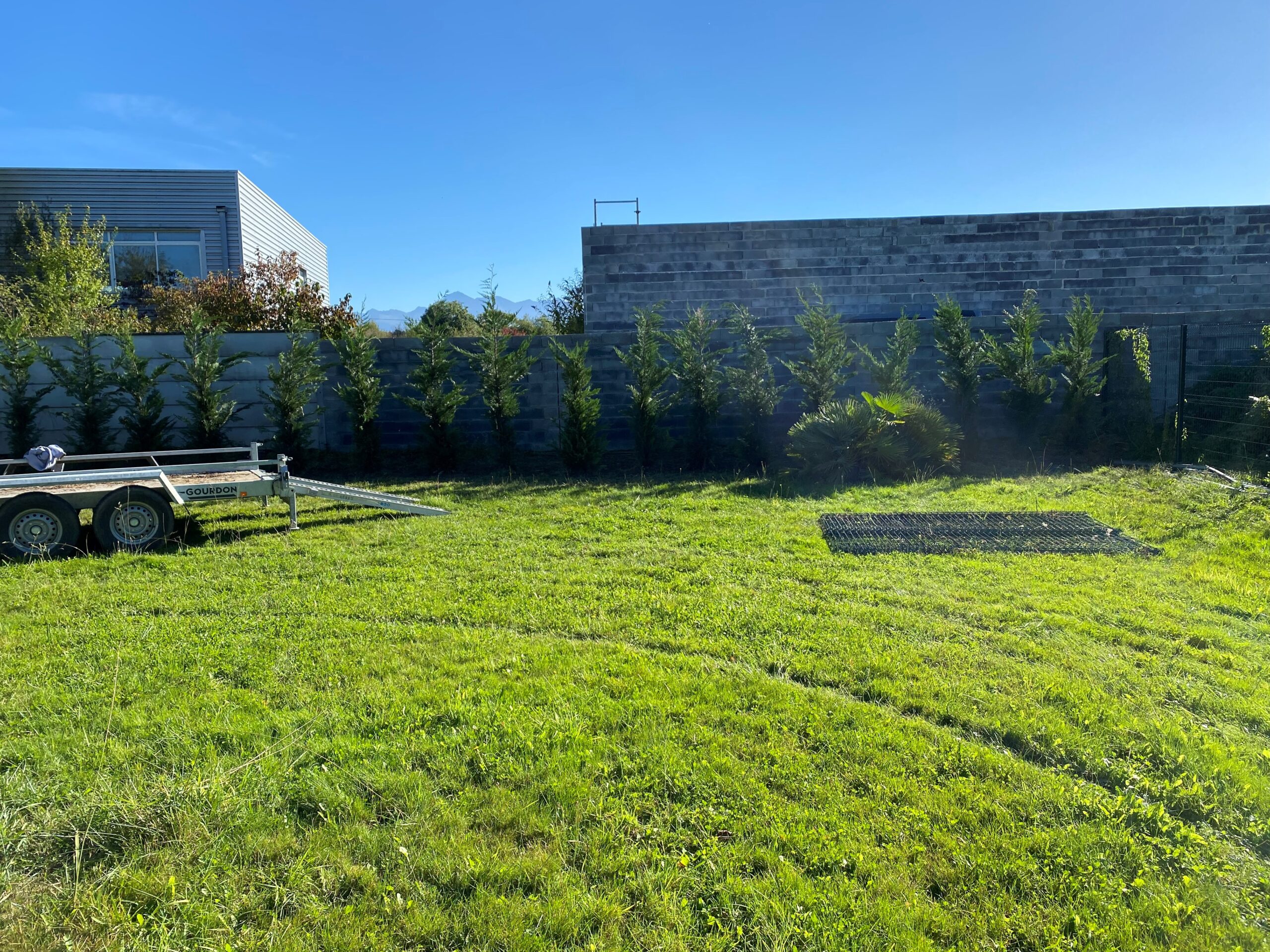 Plantation de conifères à Tarbes