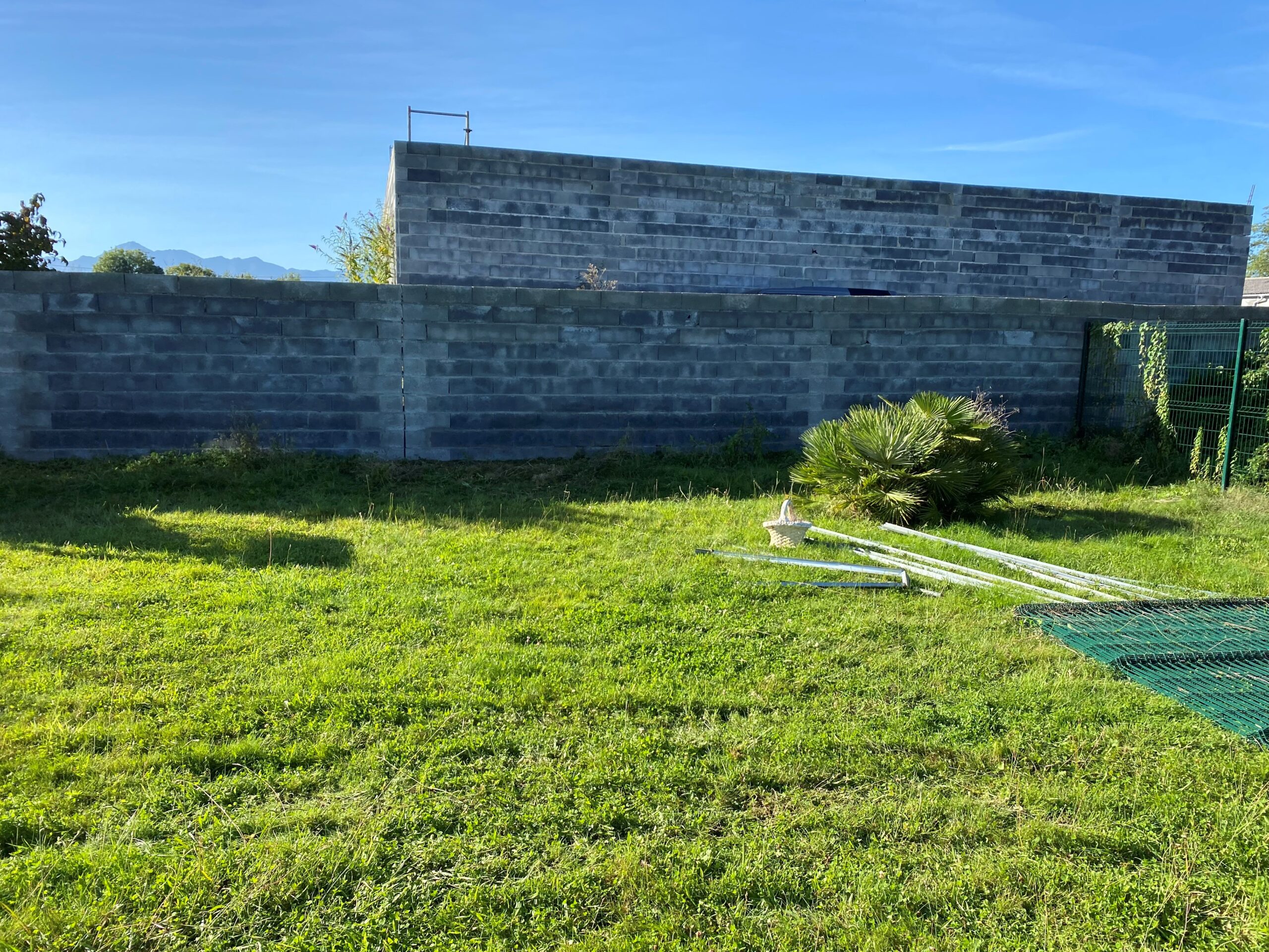 Plantation de conifères à Tarbes