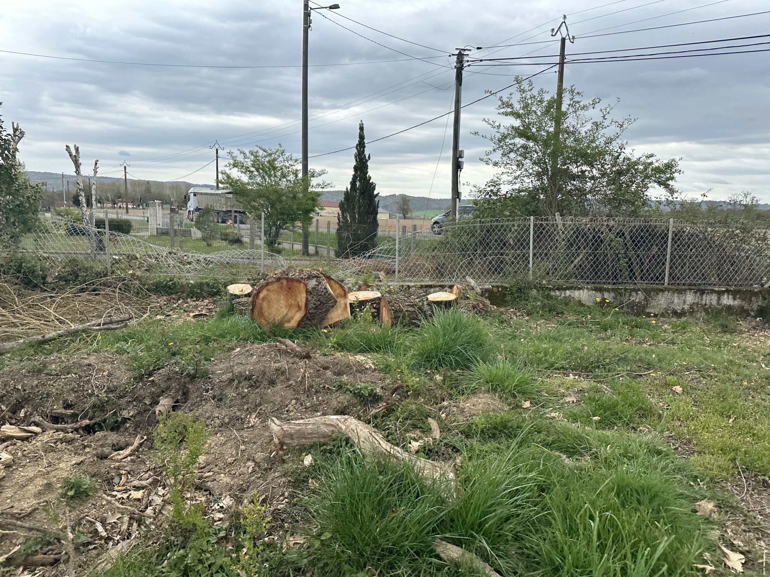 Abattage d&rsquo;un arbre tombé suite à des intempéries près de Tarbes