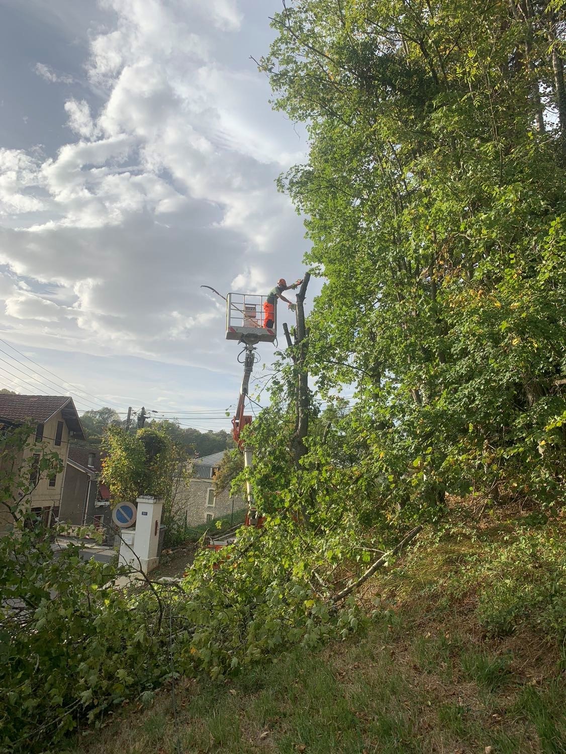 Élagueur en nacelle effectuant l'élagage d'un arbre avec des débris verts au premier plan, ciel nuageux.