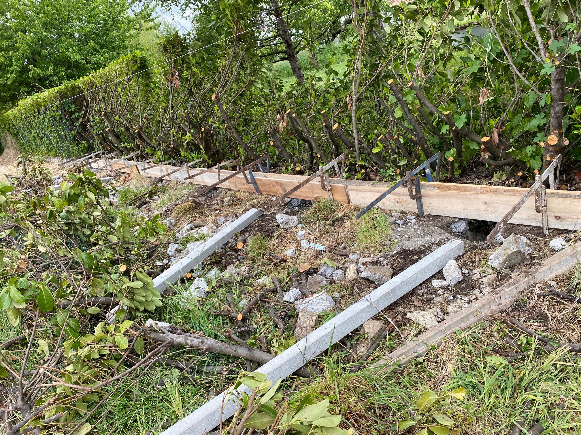 Coffrage en bois pour fondation avec étais métalliques, près d'une haie taillée et de branches coupées au sol.