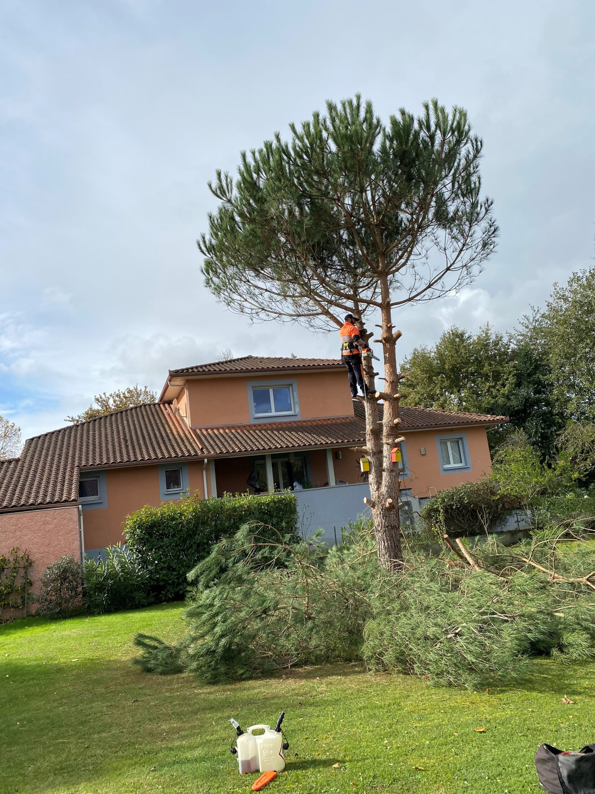 Elagage abattage tarbes