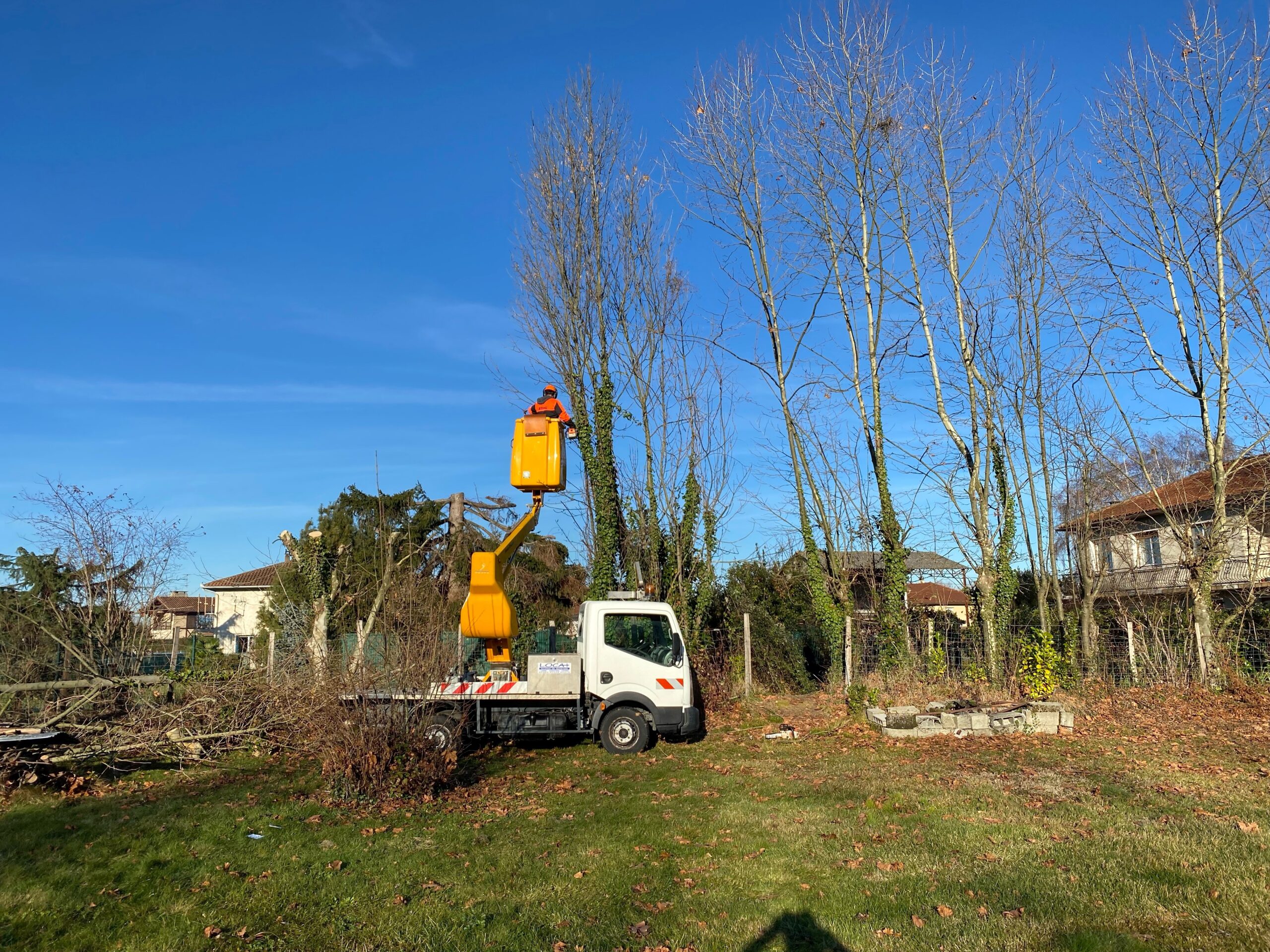 Elagage d'arbre avec nacelle à Tarbes