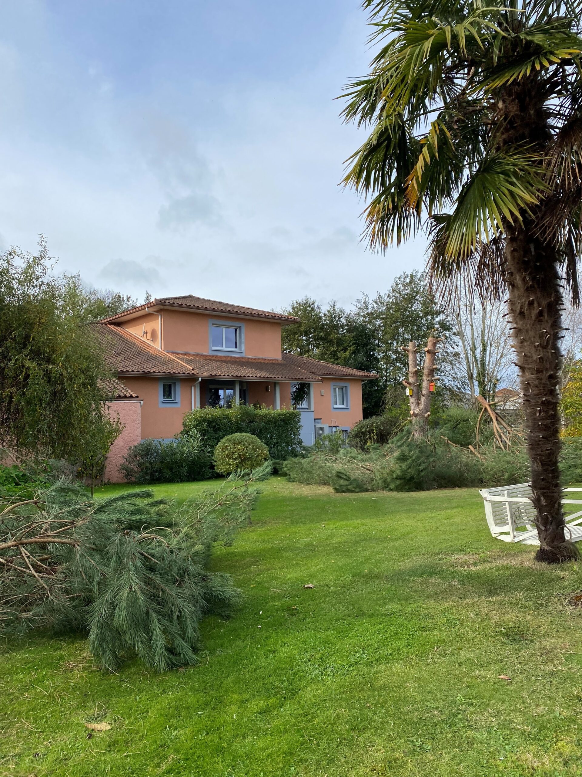 Elagage d'arbres à Tarbes