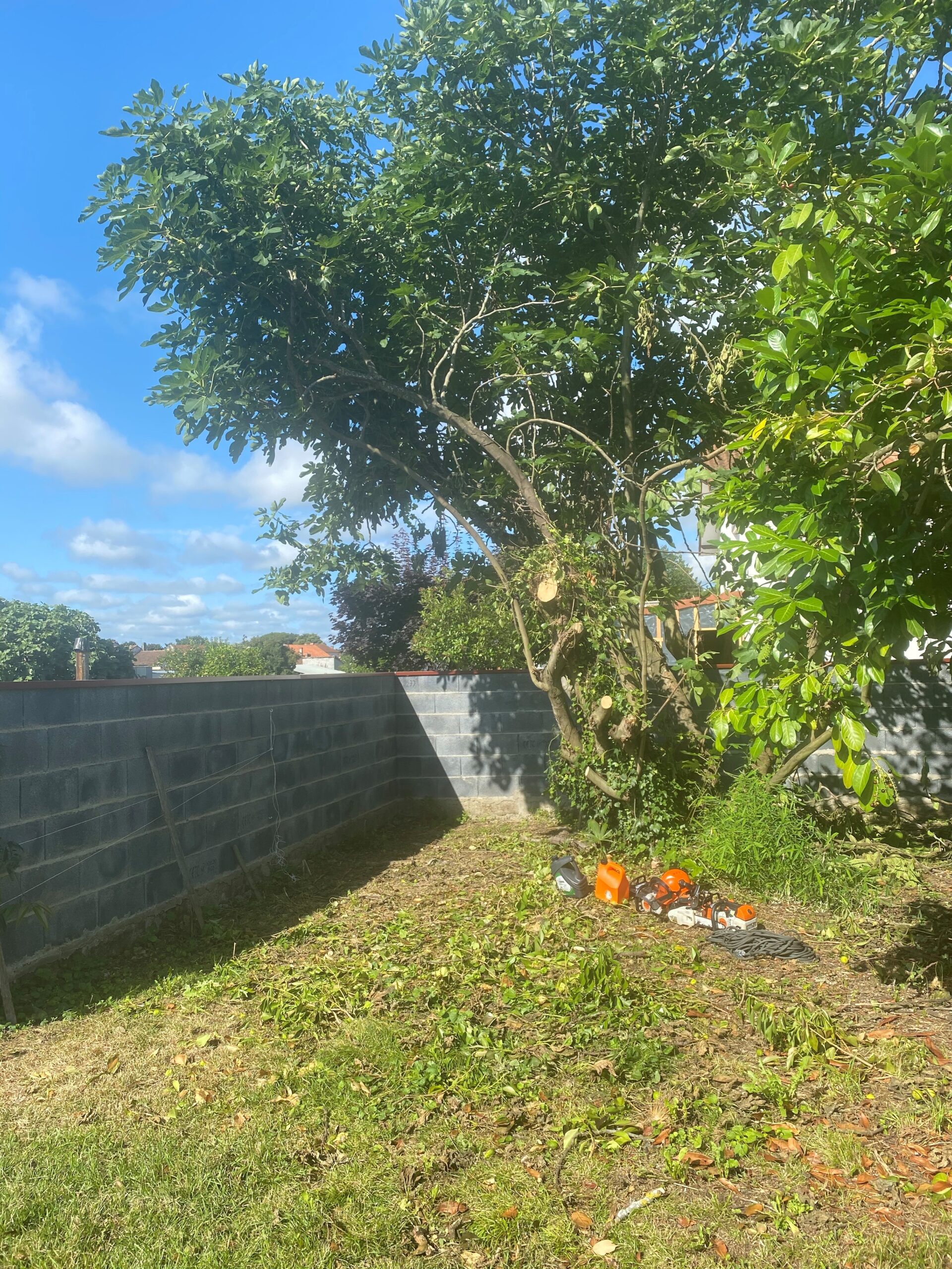 Elagage d&rsquo;arbre près de Tarbes