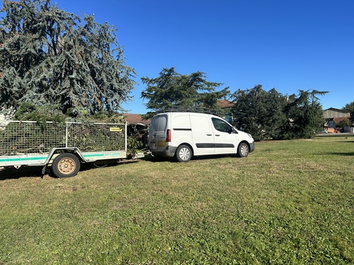 elagage conifere hautes pyrennees