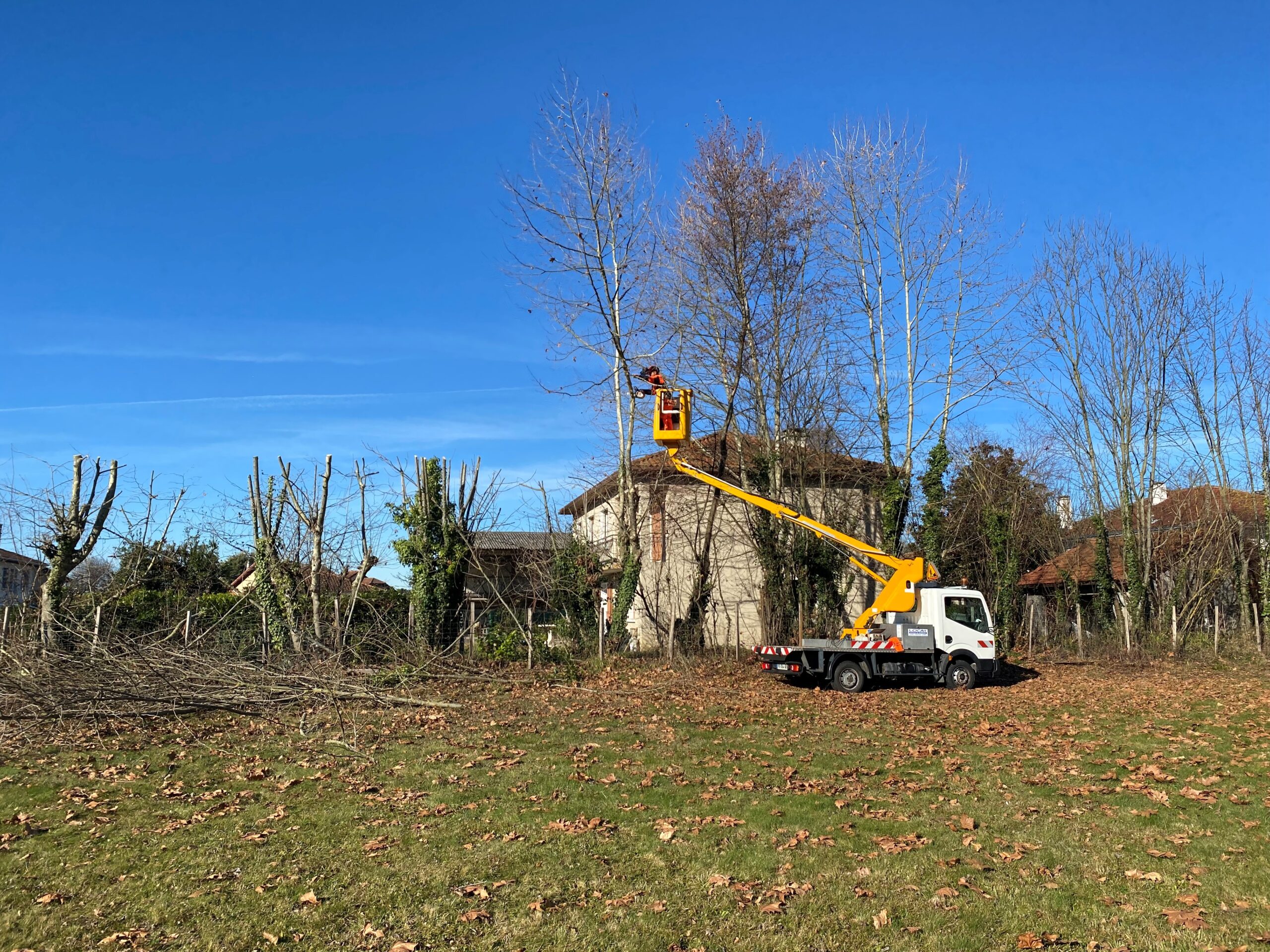 Elagage d'arbre avec nacelle à Tarbes