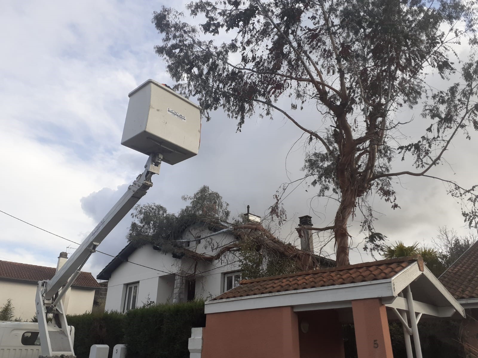 Abattage d&rsquo;arbre en urgence à Tarbes