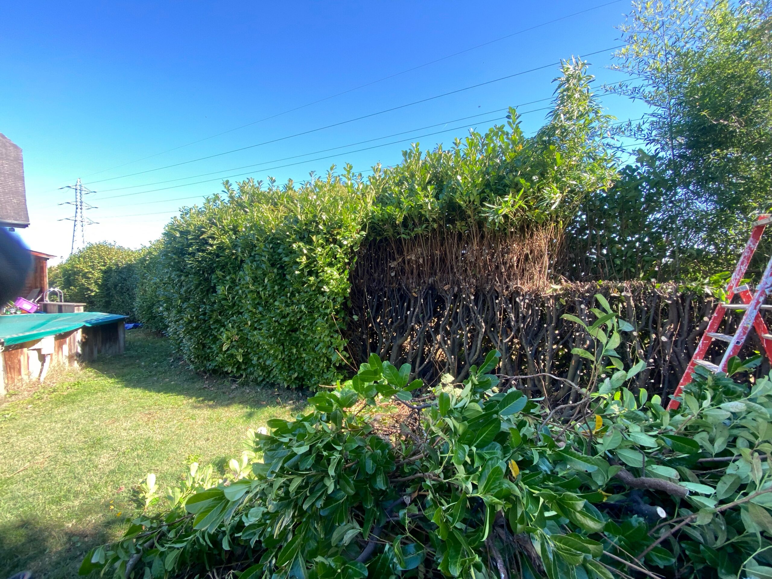 Entretien de jardin Tarbes